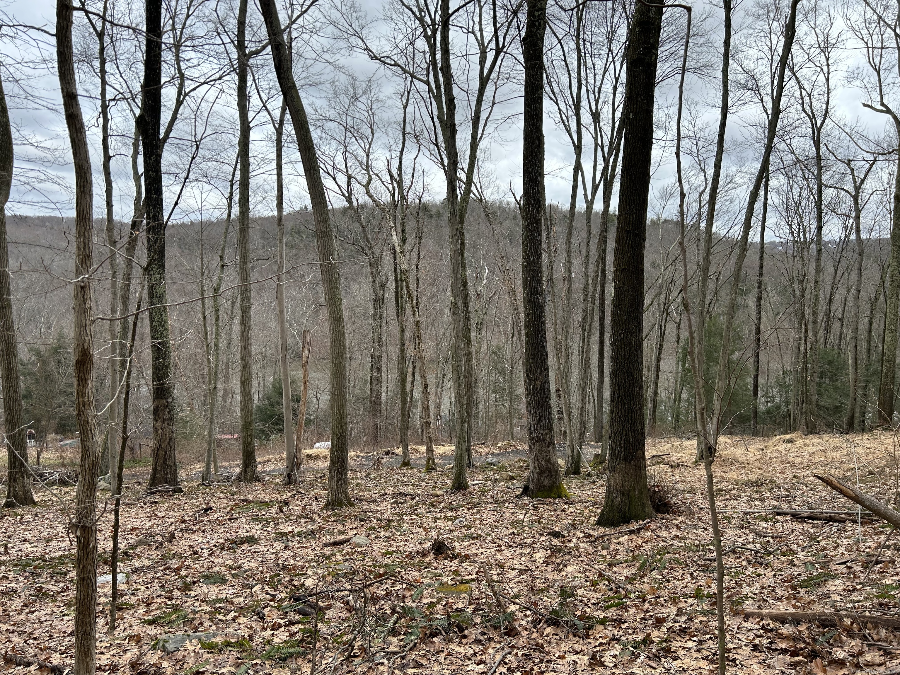 30 Cedarhurst Trail Newtown, CT 06482 - Photo 7 of 13 a backyard of a house with lots of tall trees