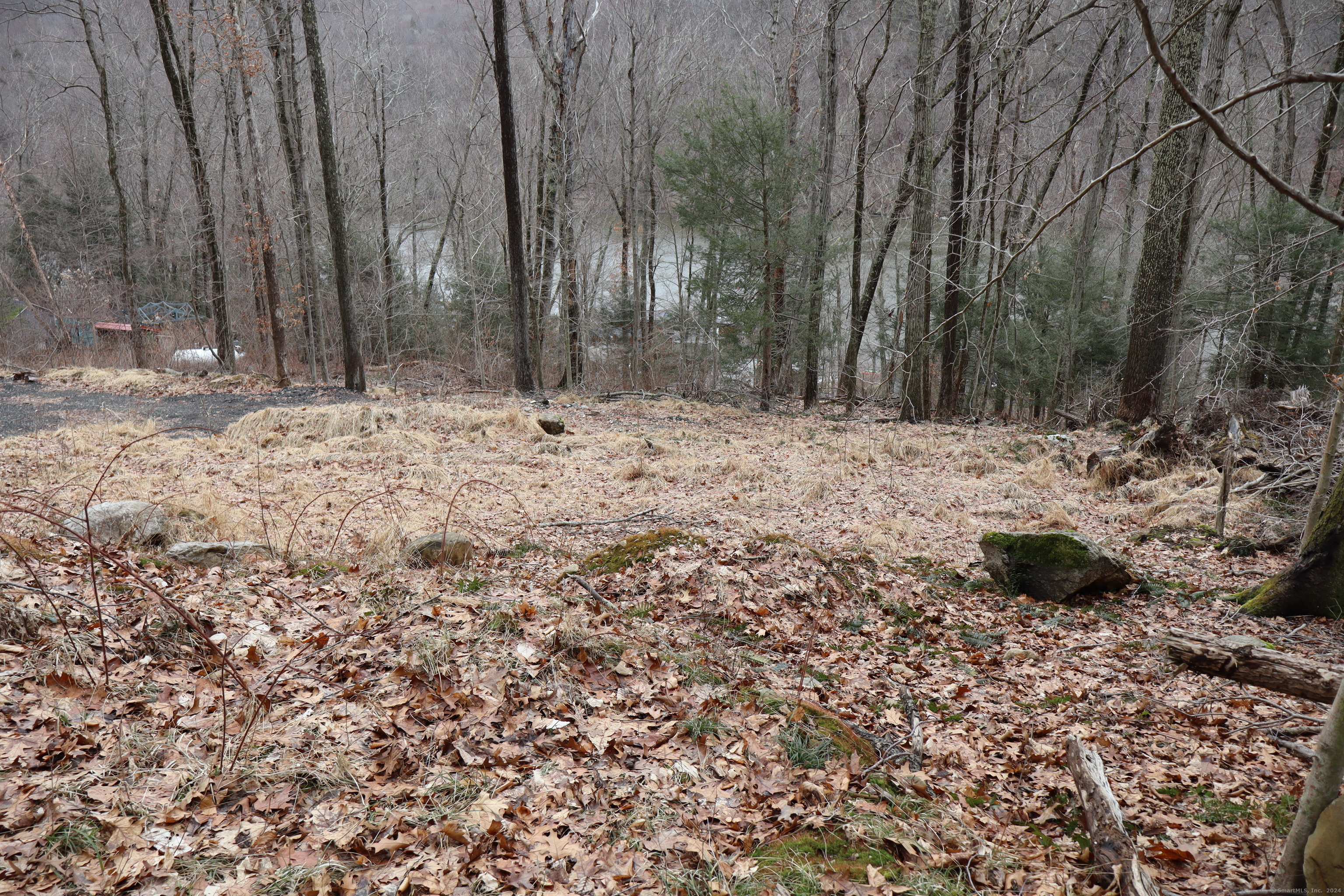 30 Cedarhurst Trail Newtown, CT 06482 - Photo 9 of 13 a view of fire pit with large trees