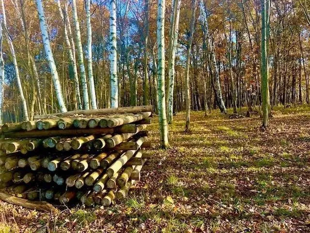 $99,900 | 3181 County Rd Q, Clear Lake, WI 54005