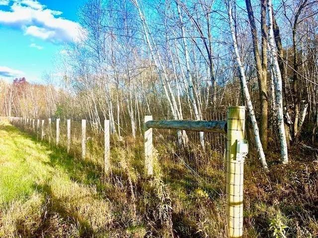 3181 County Rd Q Clear Lake, WI 54005 - Photo 6 of 15