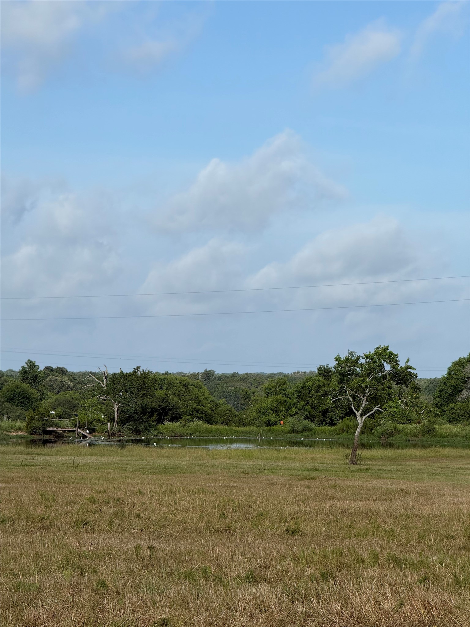 1 Reitz Quinn Road Cat Spring, TX 78933 - Photo 8 of 19 Gallery Image 8