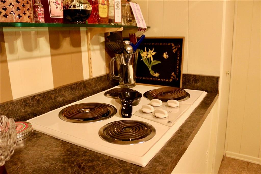 241 McKinney Road Wexford, PA 15090 - Photo 22 of 25 Game Room bar area, electric stove