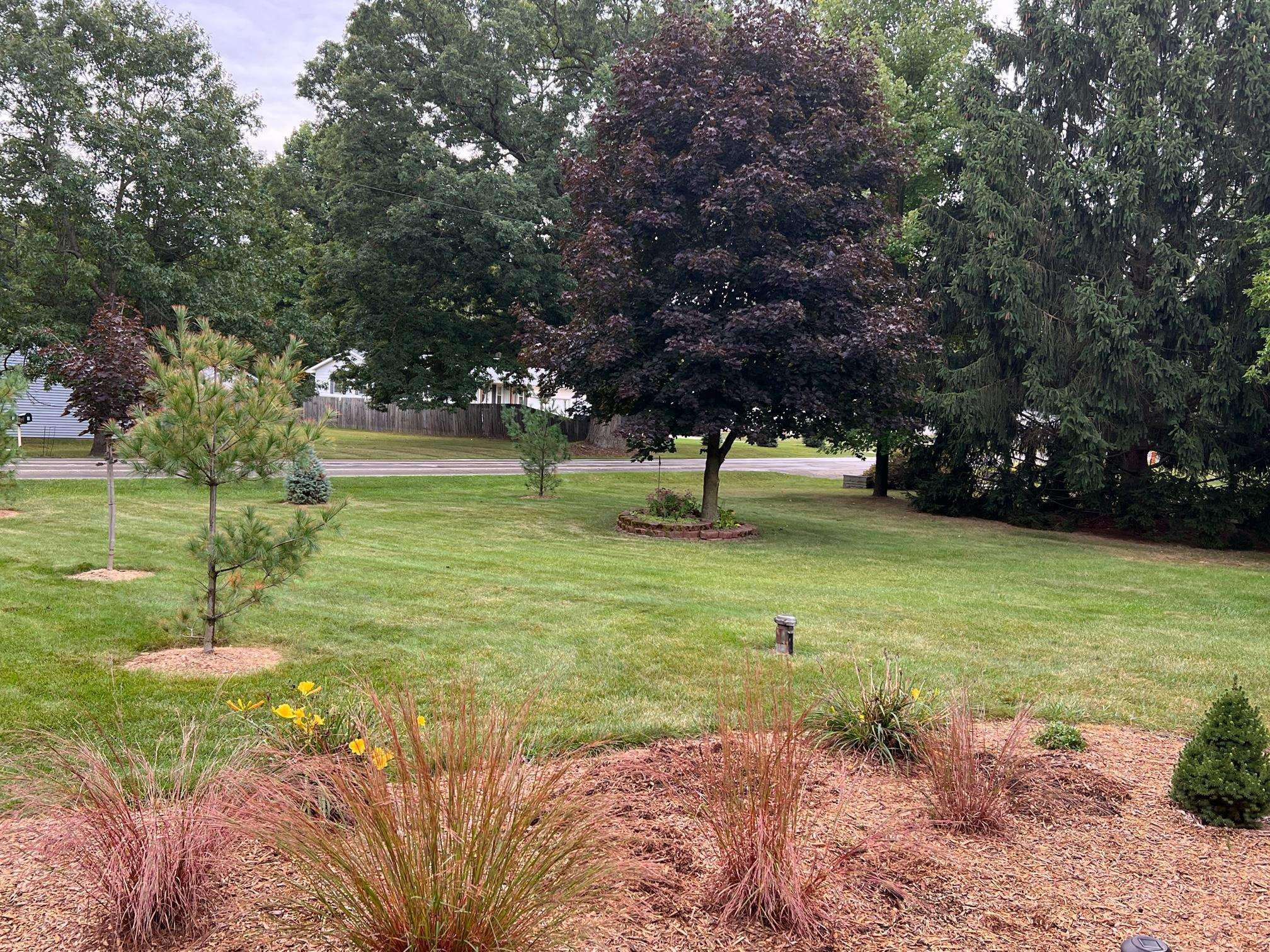 12720 Shaftsburg Road Perry, MI 48872 - Photo 29 of 29 50091176-28.JPG