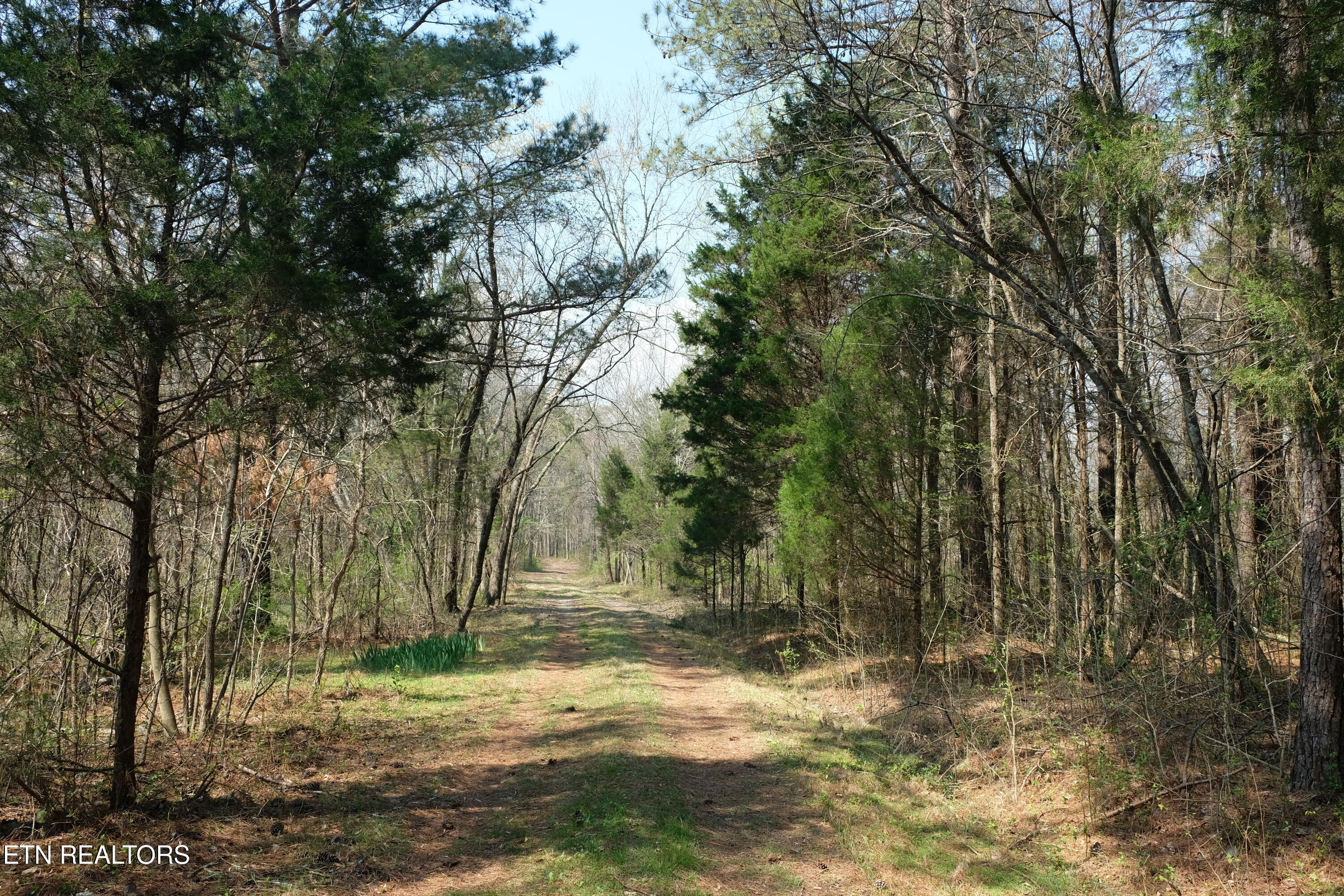 3578 Wolf Creek Road Spring City, TN 37381 - Photo 11 of 16 DSCF4587