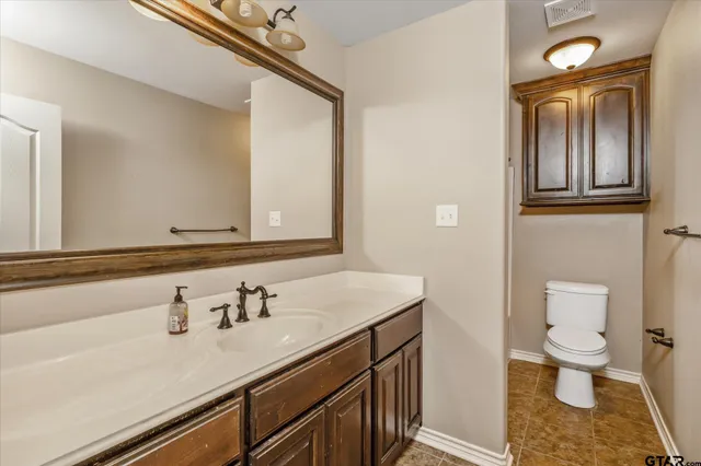 a bathroom with a sink a toilet and mirror