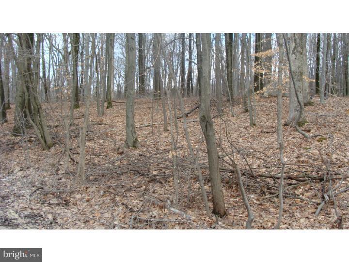 2541 Kutz Road Temple, PA 19560 - Photo 1 of 2 View 1