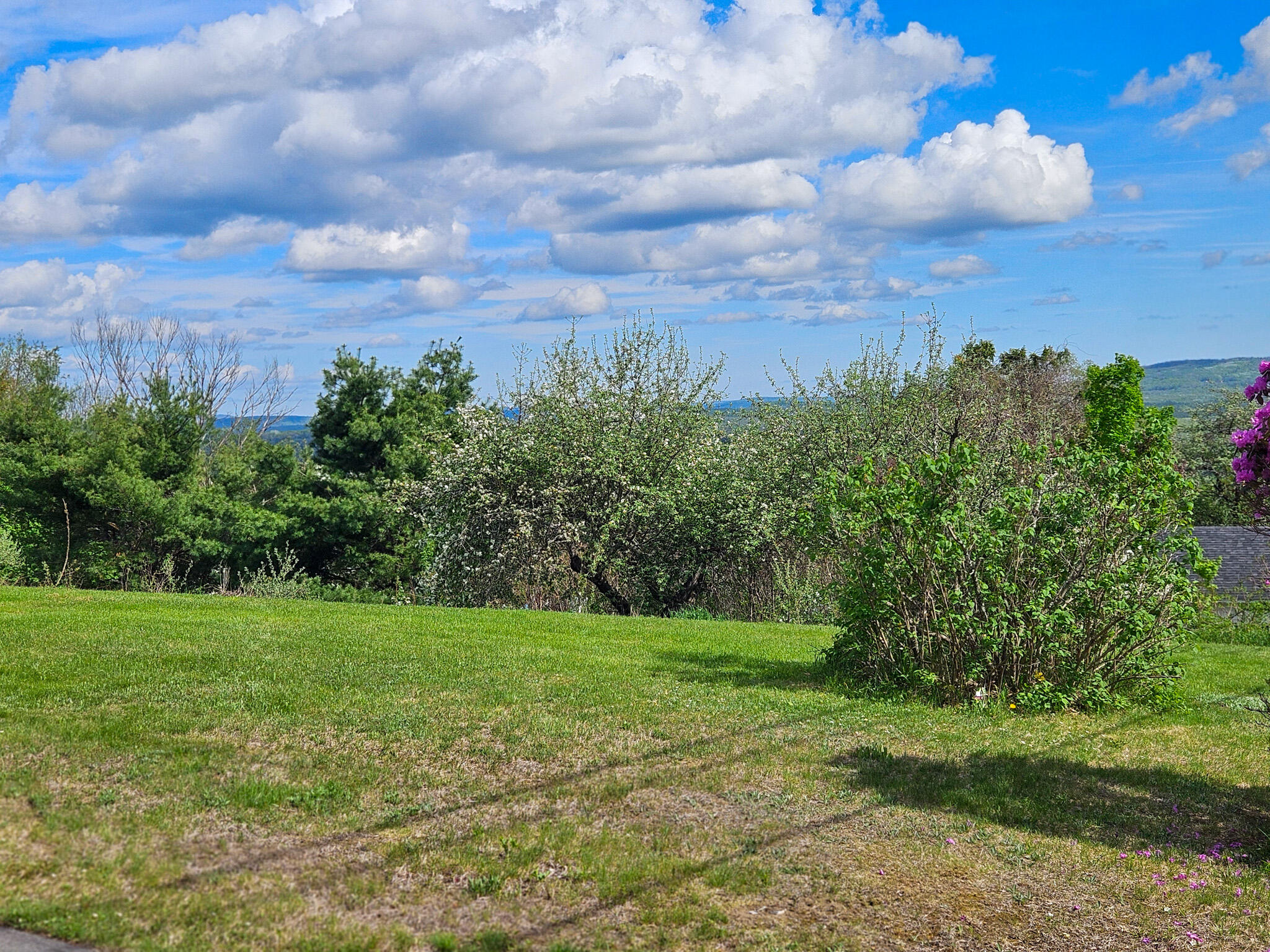 239 Temple Road Wilton, ME 04294 - Photo 23 of 120 20250516_155914