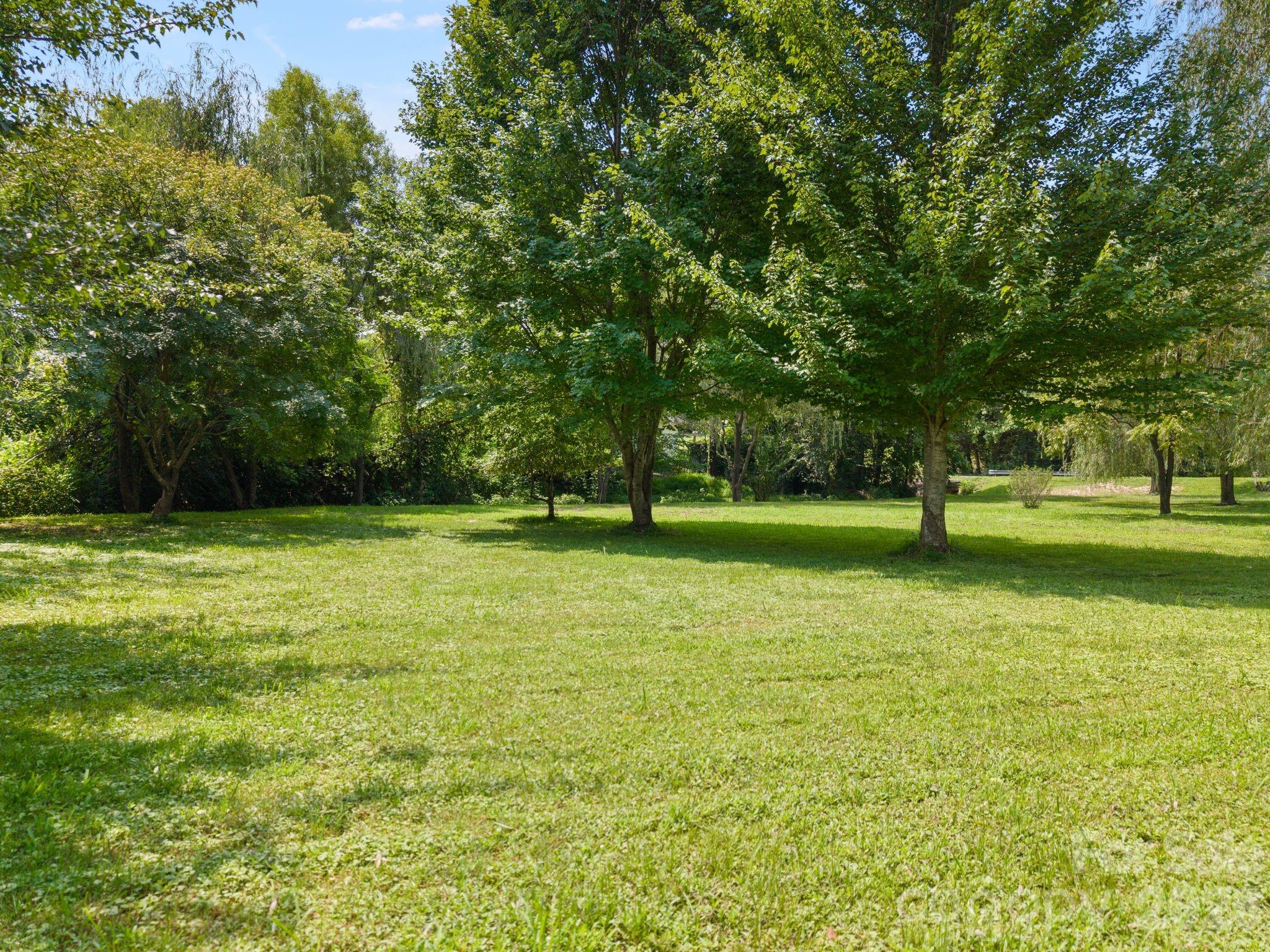636 North Trade Street Tryon, NC 28782 - Photo 39 of 48 Gallery Image 39