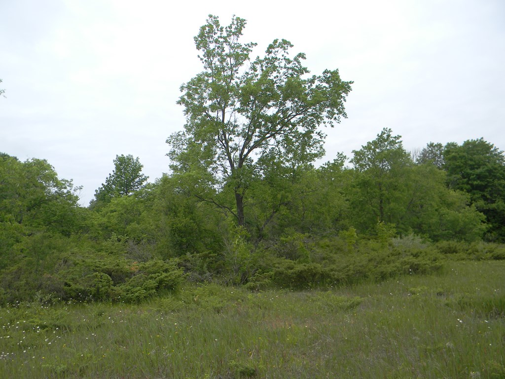 Rasner Way Fish Creek, WI 54212 - Photo 7 of 14