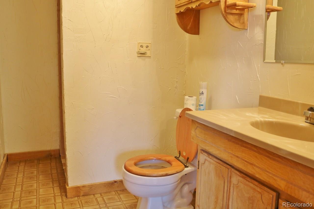 309 Holmes Gulch Road Bailey, CO 80421 - Photo 19 of 35 Gallery Image 19