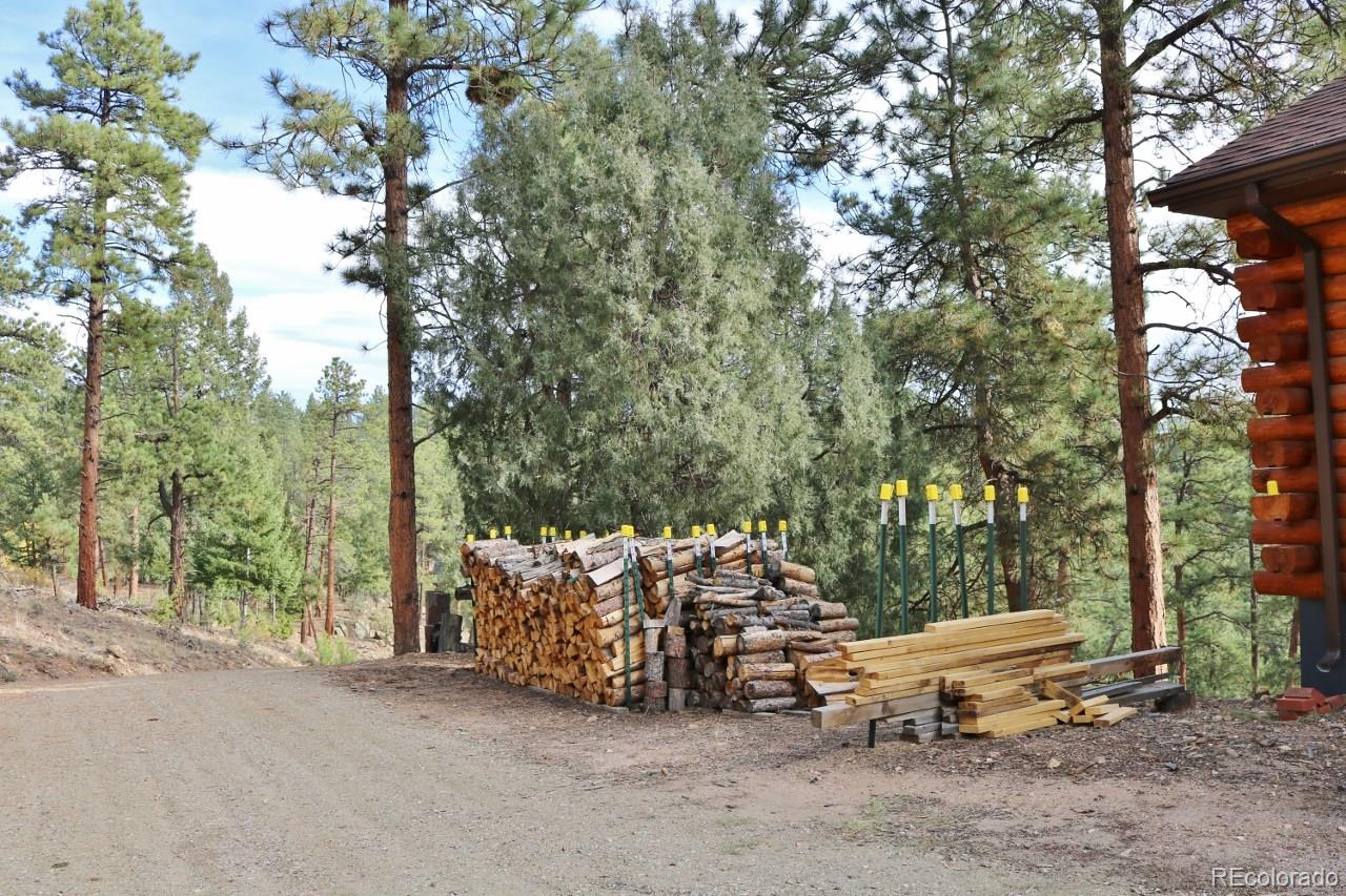 309 Holmes Gulch Road Bailey, CO 80421 - Photo 30 of 35 Gallery Image 30