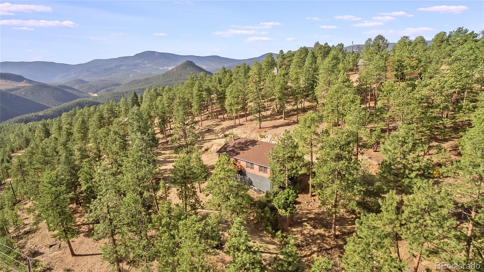 309 Holmes Gulch Road Bailey, CO 80421 - Photo 3 of 35 Gallery Image 3