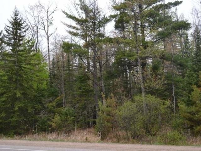 4606 Hwy 17 Rhinelander Wi 54501 Rhinelander, WI 54501 - Photo 1 of 6 Gallery Image 1