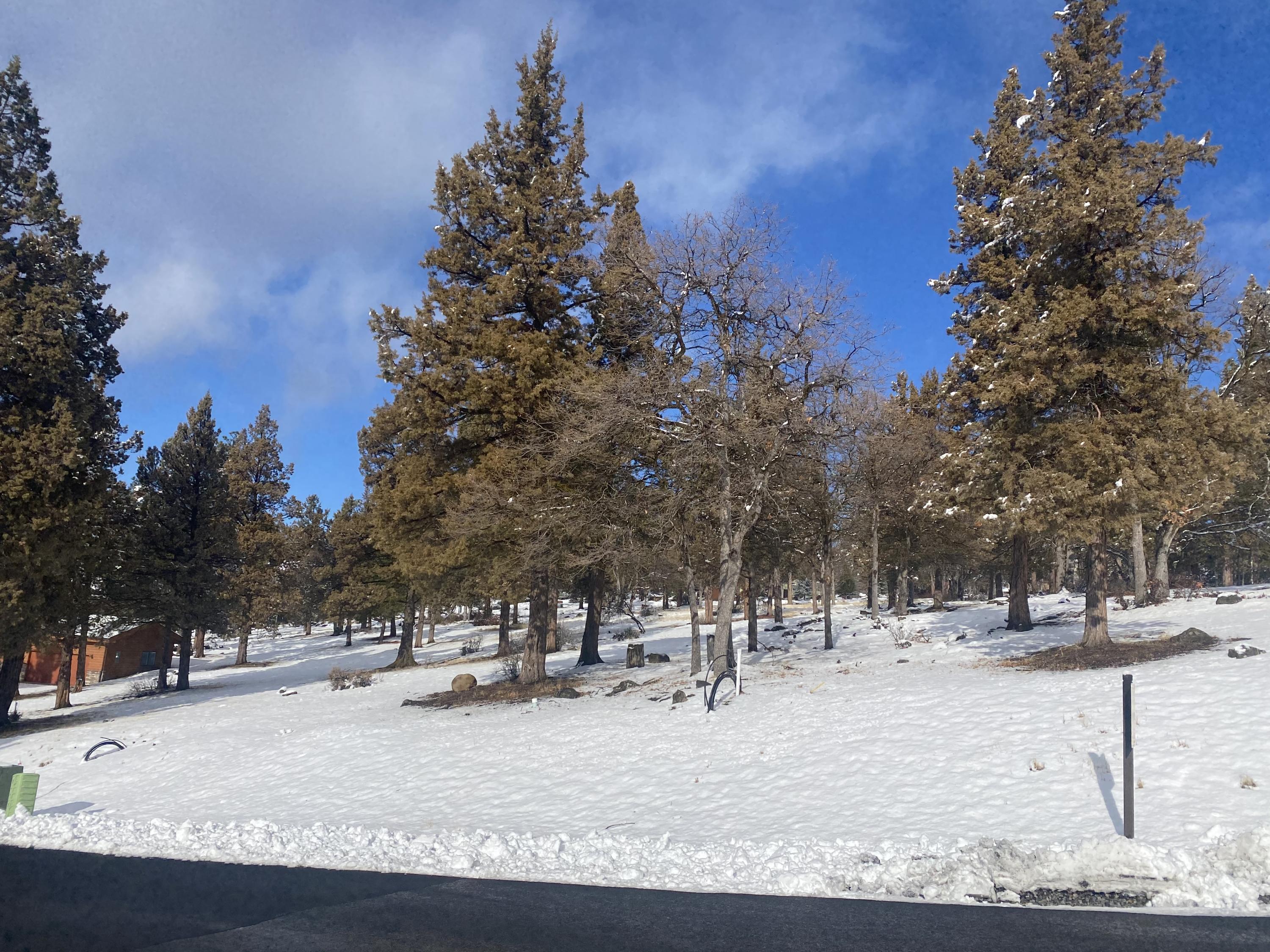 Coopers Hawk Road Klamath Falls, OR 97601 - Photo 3 of 5 Lot 260