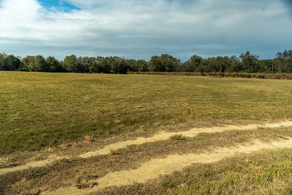 0 J B J B Jackson Road Webb, AL 36376 - Photo 24 of 38