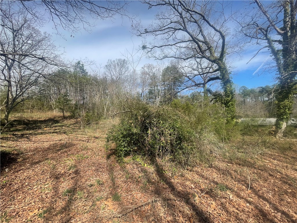 0 Charlie Mitchell Road Walhalla, SC 29691 - Photo 7 of 8