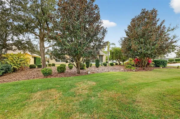 a view of a park with large trees