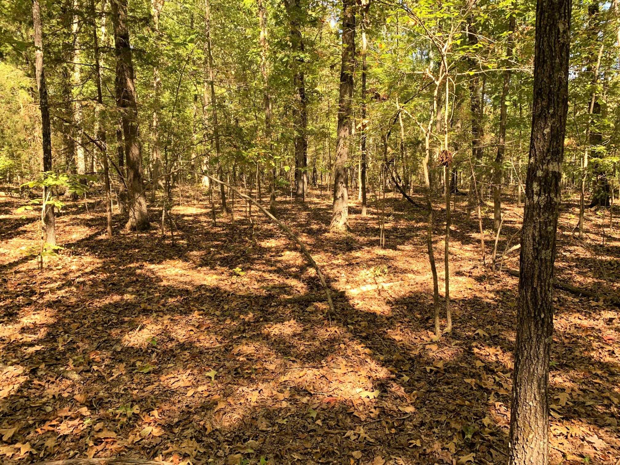 New Hope / Hubert Manul Road Guys, TN 38339 - Photo 4 of 8 a view of yard