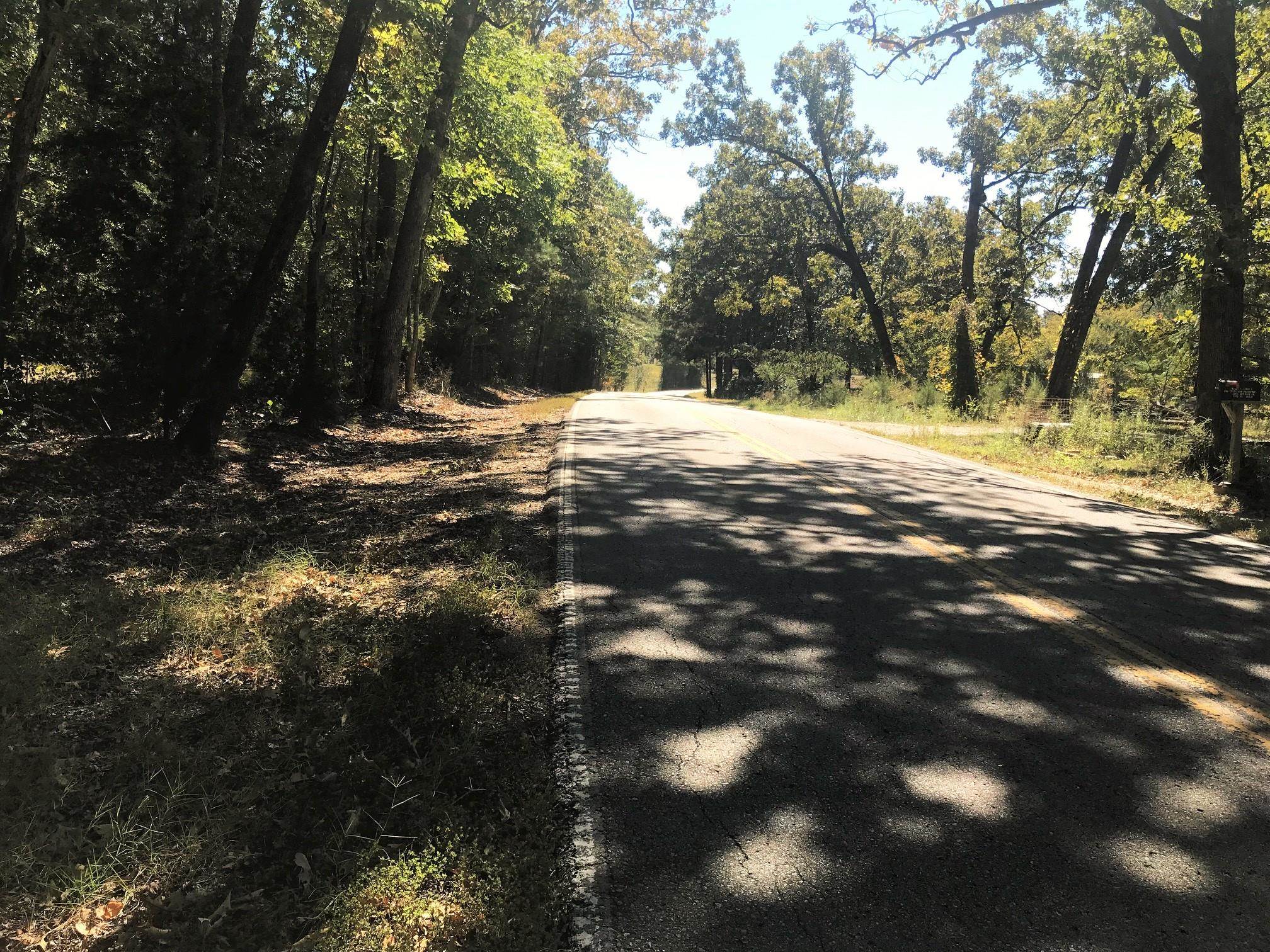 New Hope / Hubert Manul Road Guys, TN 38339 - Photo 7 of 8 a view of road covered with trees