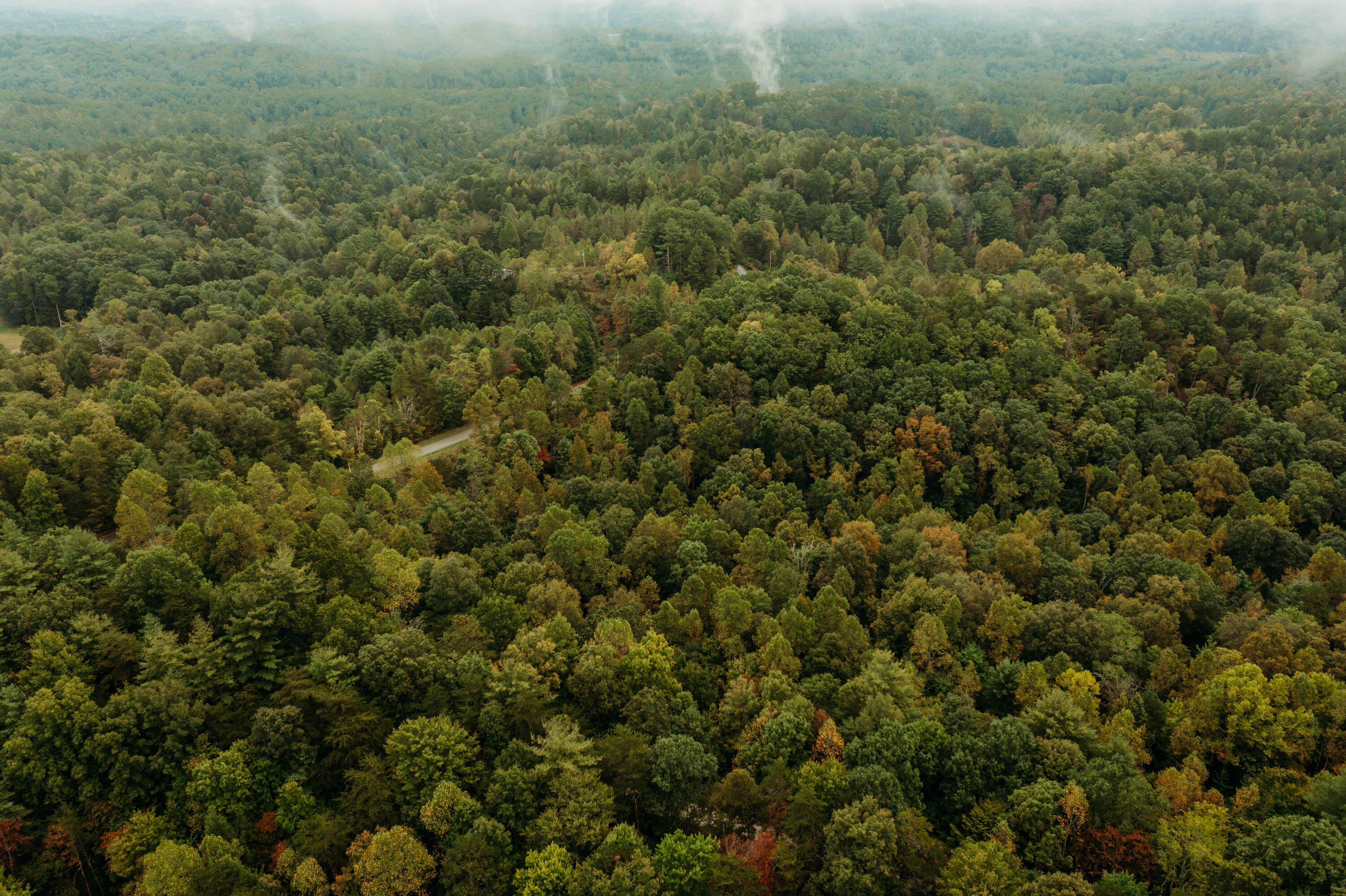 Lot 17 Holler Top Road Campton, KY 41301 - Photo 10 of 13 DJI_0150