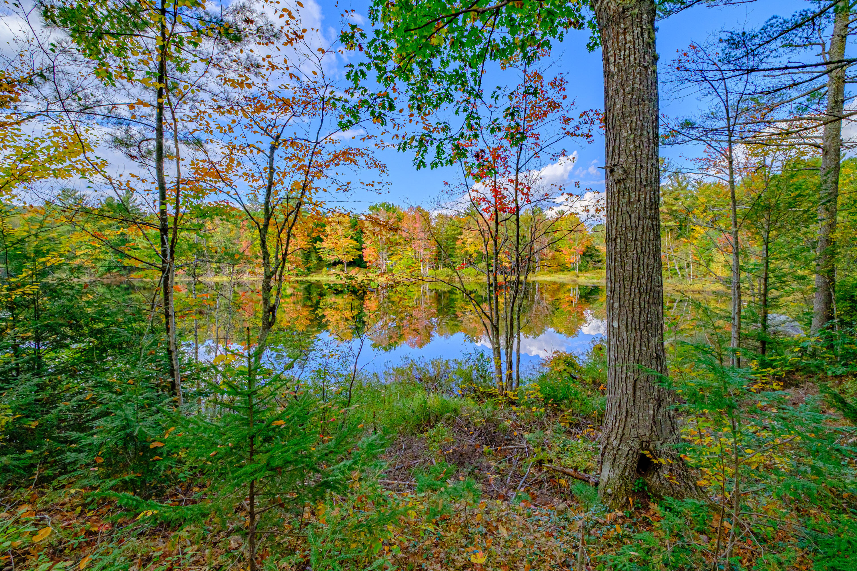 11 Goss Pond Road Bethel, ME 04217 - Photo 82 of 127 20240930gp-62092