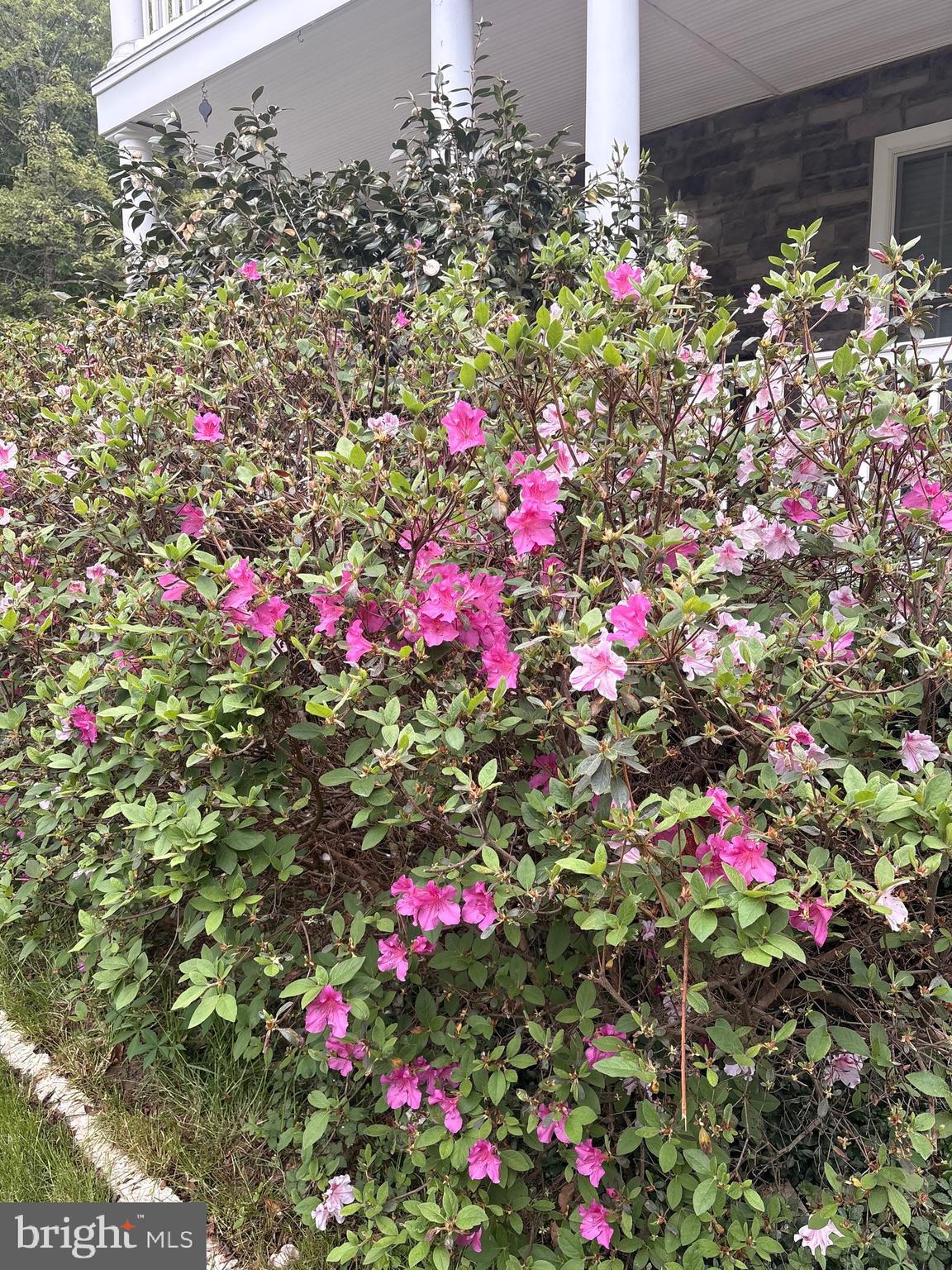 10409 Lees Mill Road Warrenton, VA 20186 - Photo 40 of 57 FOWERS BY STEPS