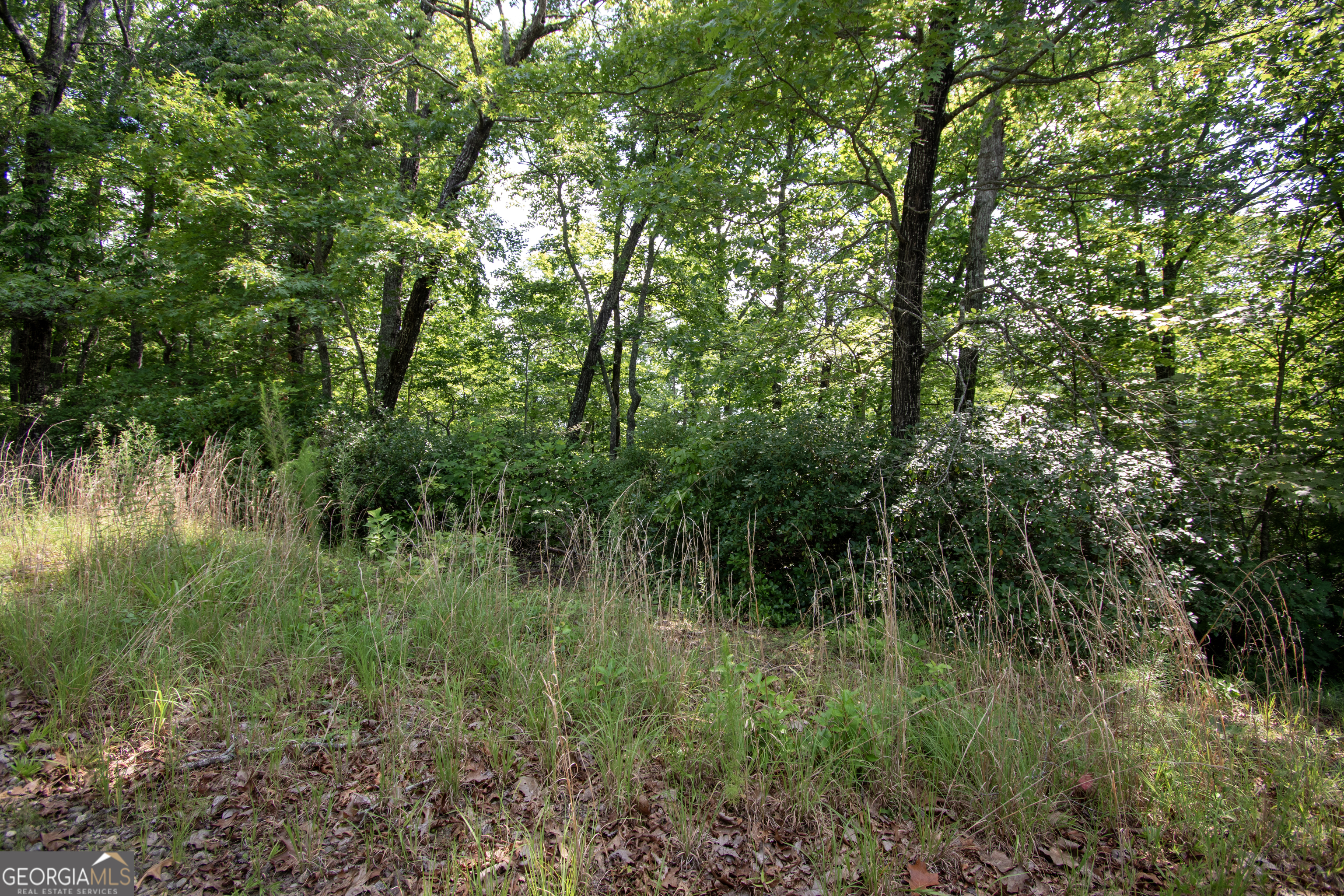 850 Bluff Road Marble, NC 28905 - Photo 19 of 31 Gallery Image 19