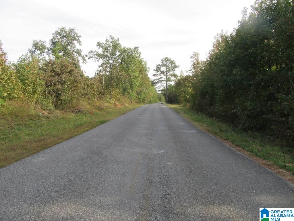 0 Paul Bear Bryant Road Alpine, AL 35014 - Photo 6 of 8