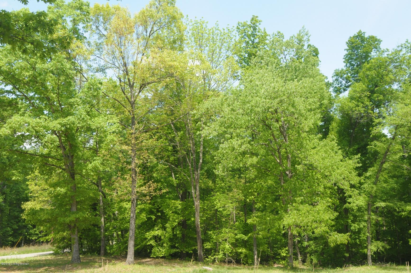47 Camp Green Shores Road Falls Of Rough, KY 40119 - Photo 3 of 9 FordRayhillTeam-3