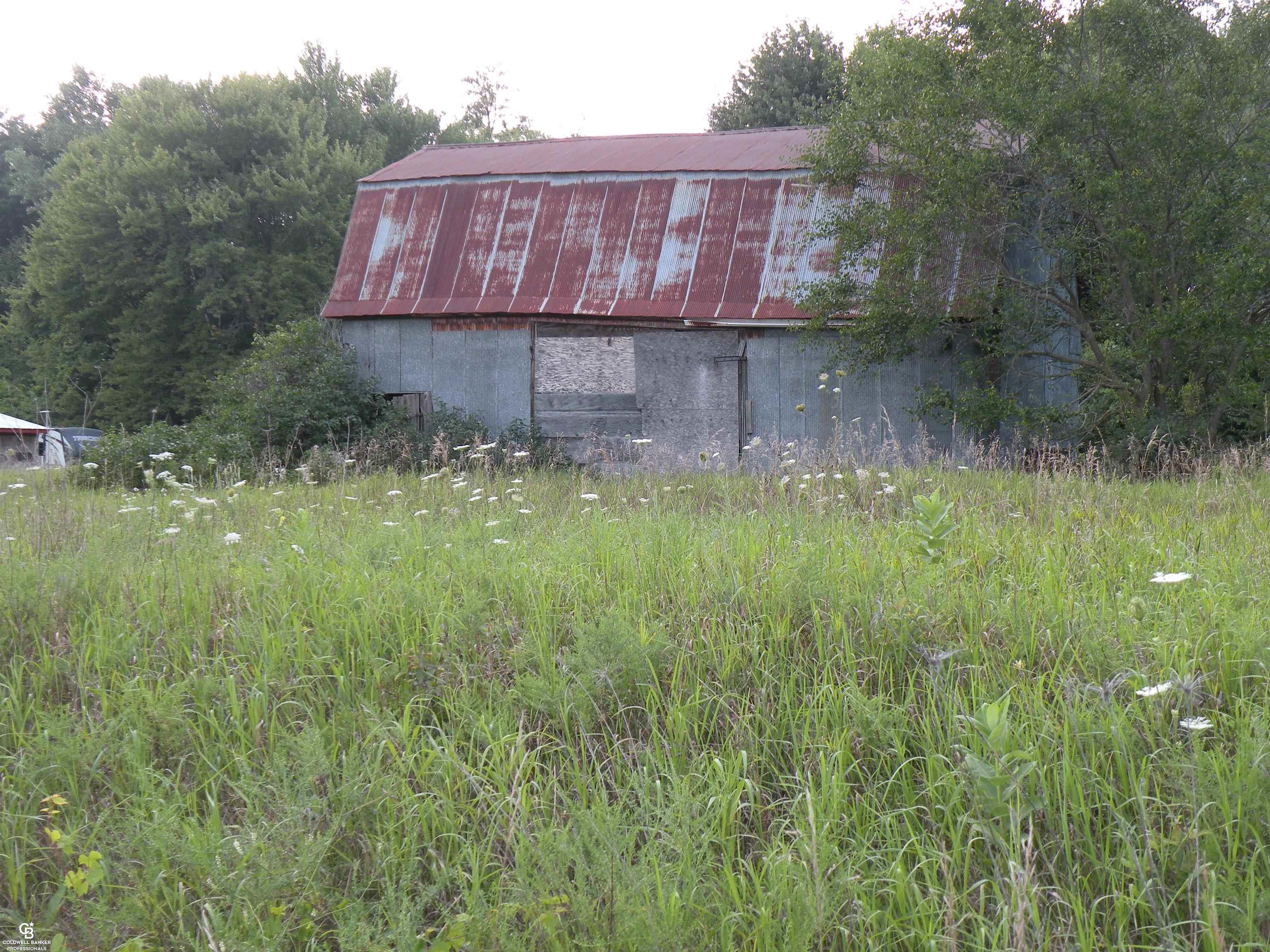 0 Parks Road Yale, MI 48097 - Photo 8 of 12