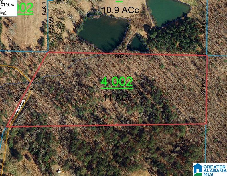 189 Drake Drive Springville, AL 35146 - Photo 2 of 2