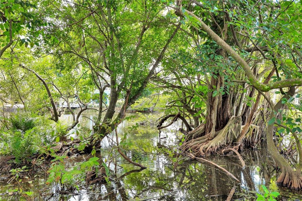 2515 Royal Palm Court Naples, FL 34103 - Photo 28 of 32 a view of tree