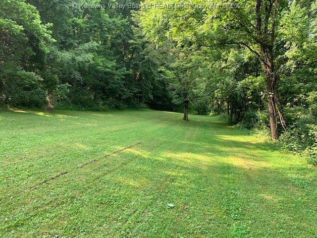 Tbd Windy Run Road Sutton, WV 26601 - Photo 12 of 33 Gallery Image 12