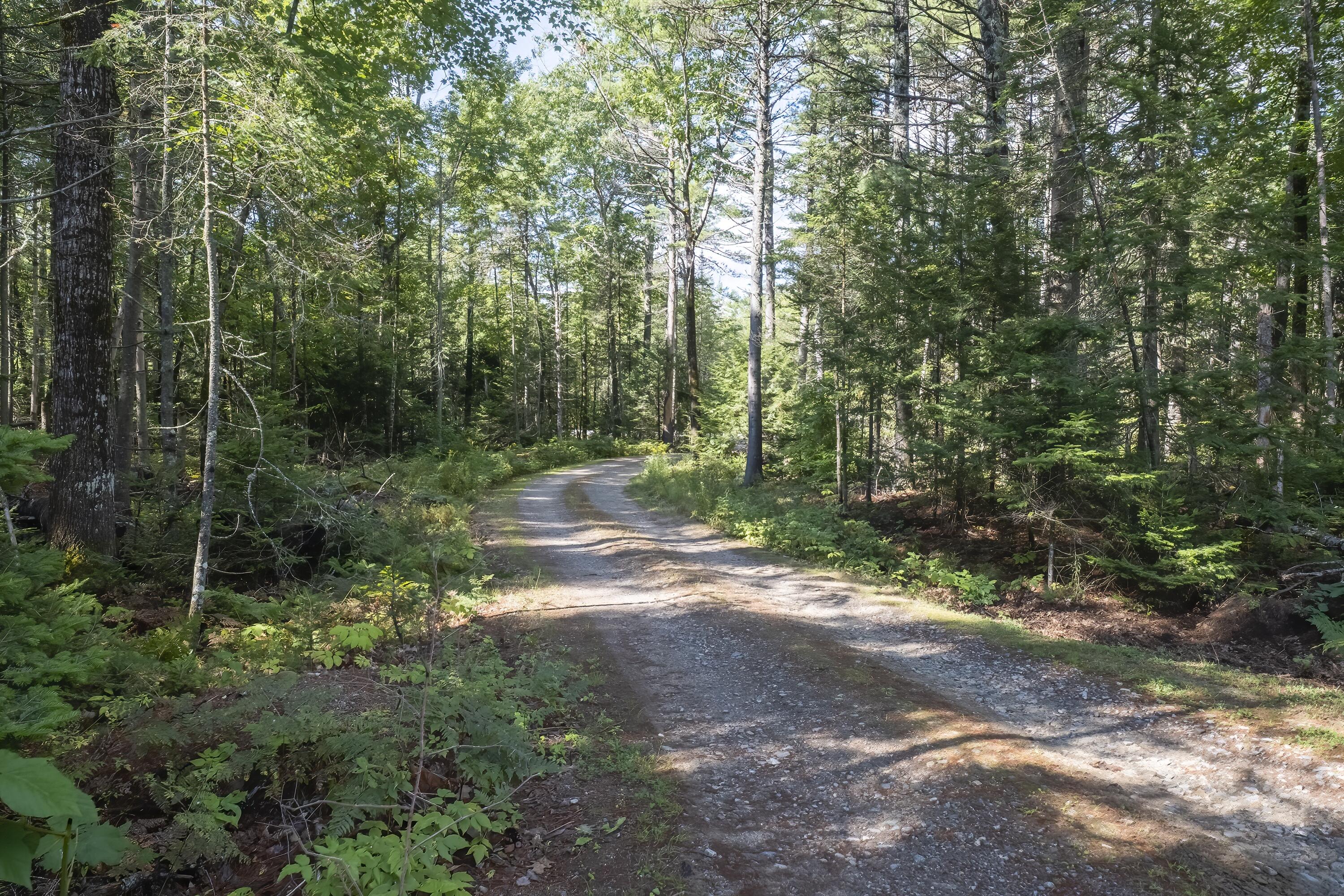 945 West Alna Road Alna, ME 04535 - Photo 8 of 35 20220907_945_West_Alna_3495