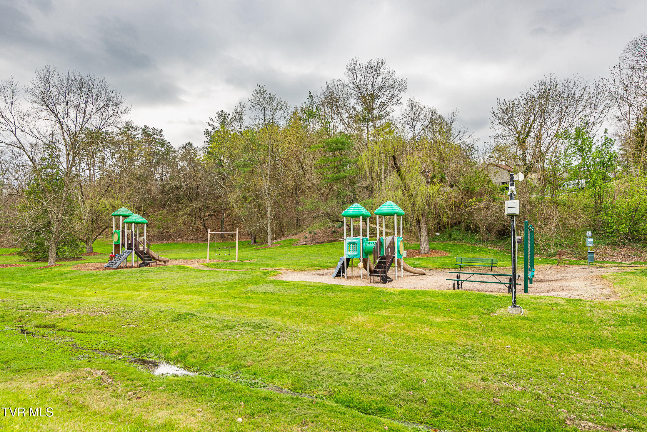 263 Willowbend Place, Unit 263 Kingsport, TN 37660 - Photo 35 of 41 DSC_6937