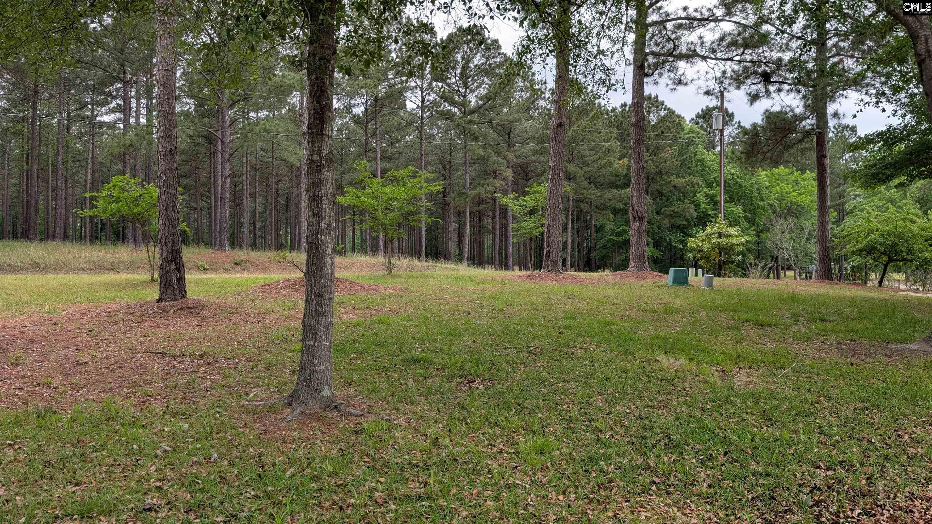 829 Rocky Point Circle Ridgeway, SC 29130 - Photo 61 of 62