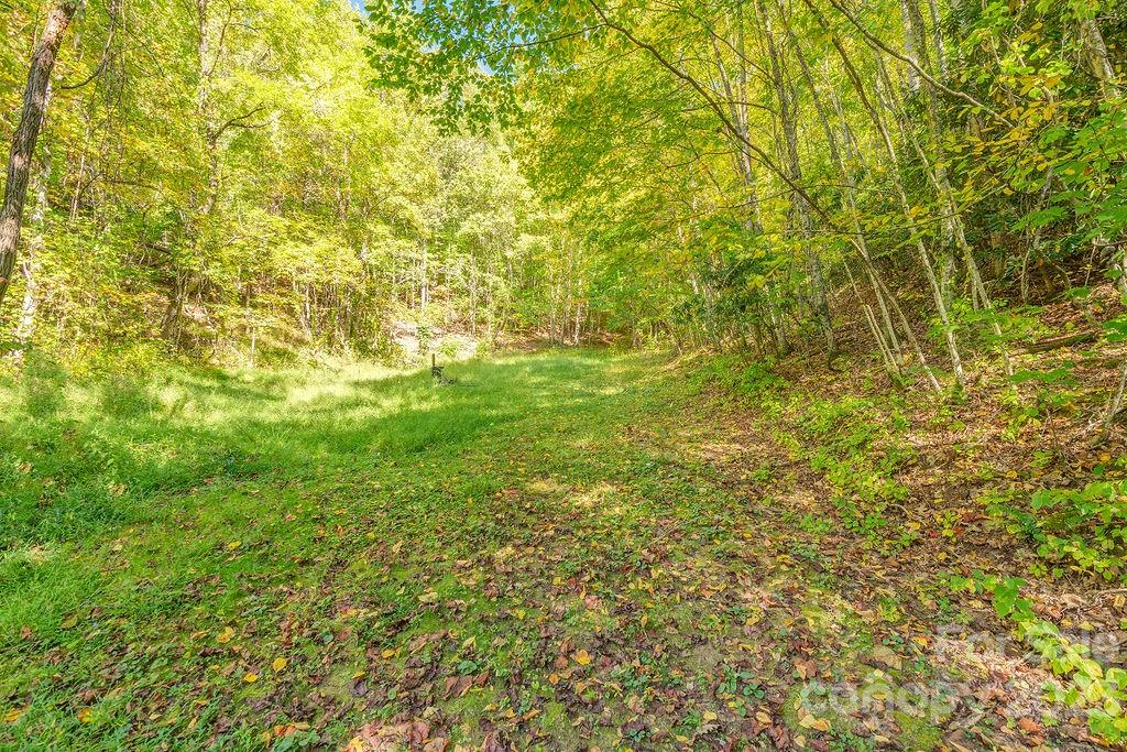 107 Welch Road Candler, NC 28715 - Photo 34 of 37 Gallery Image 34