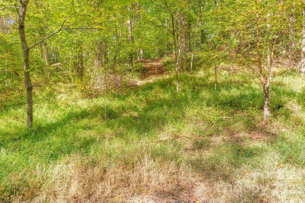107 Welch Road Candler, NC 28715 - Photo 36 of 37 Gallery Image 36