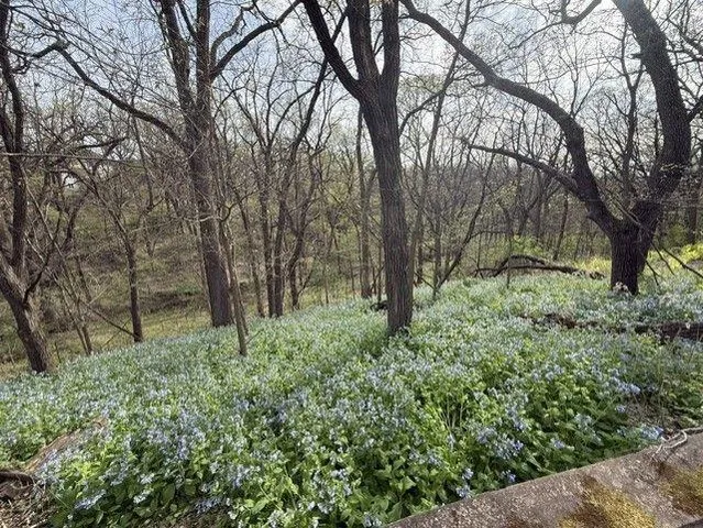 $599,900 | 1804 Northern Viola Lane Northeast, Rochester, MN 55906