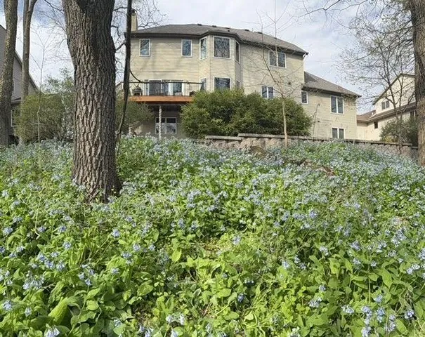 $599,900 | 1804 Northern Viola Lane Northeast, Rochester, MN 55906