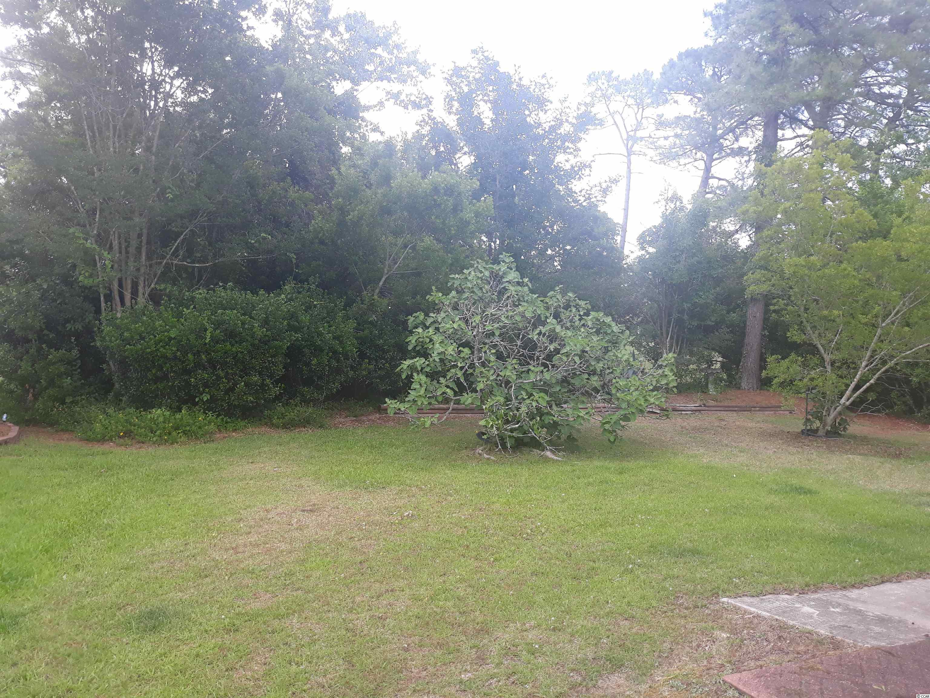 546 Sand Ridge Road Conway, SC 29526 - Photo 25 of 25 Gallery Image 25