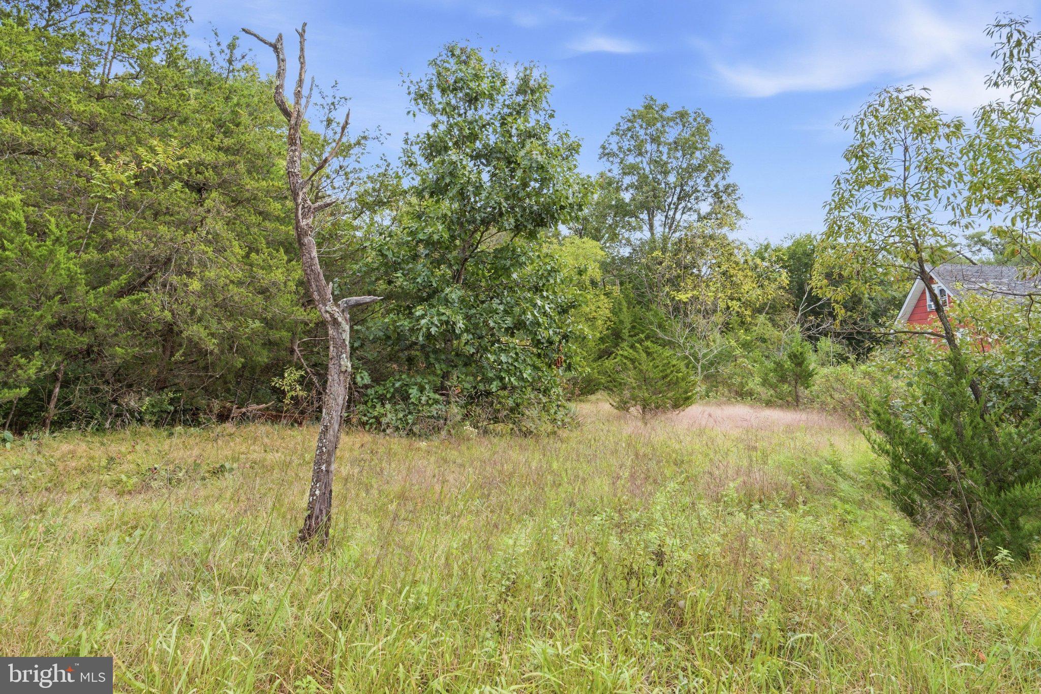 667 South Mill Road Vineland, NJ 08360 - Photo 9 of 14 Gallery Image 9