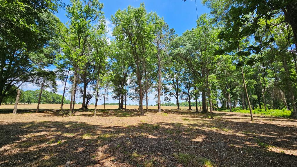 92 County Road 92 Slocomb, AL 36375 - Photo 56 of 58