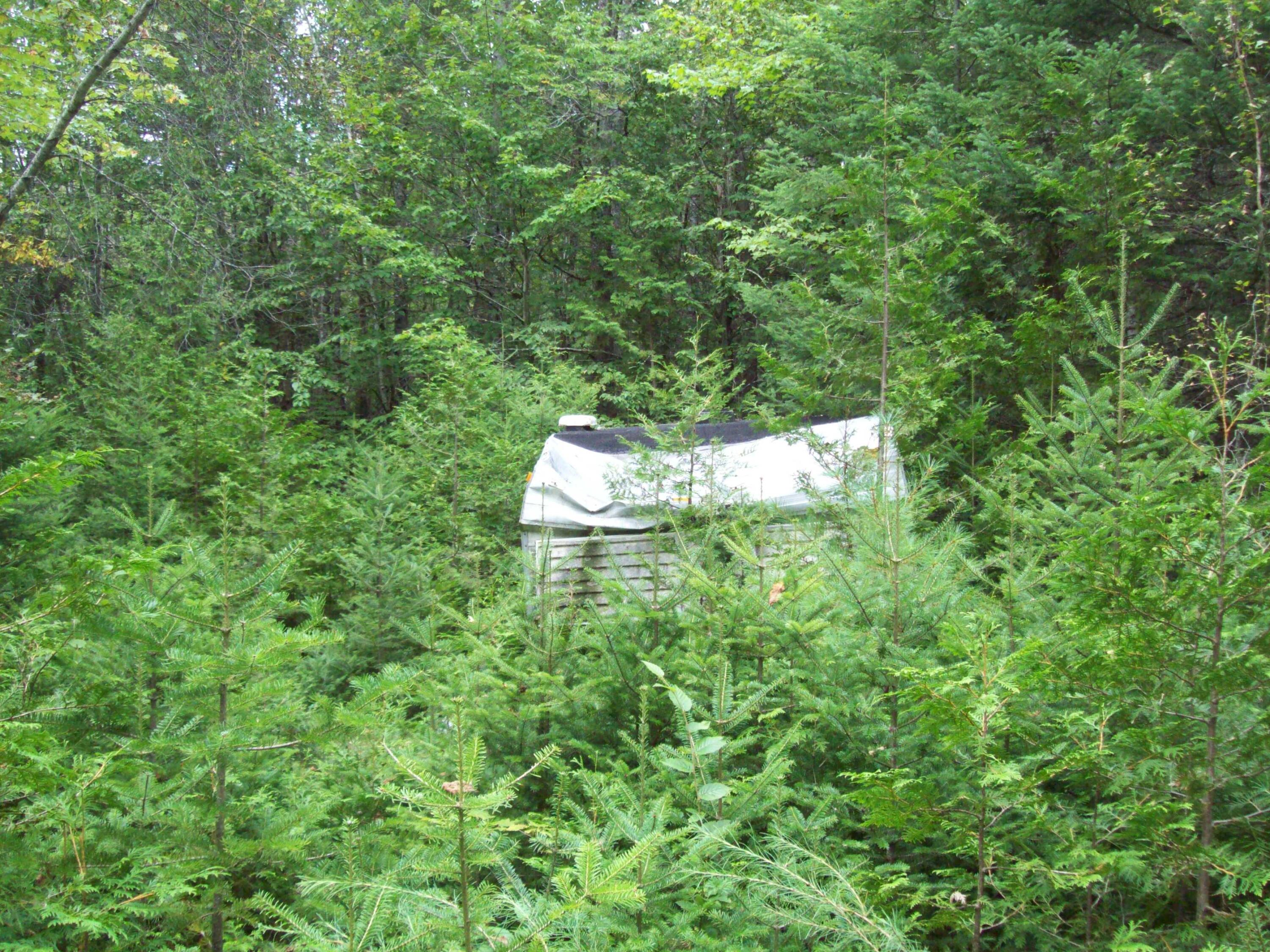 Tbd Tbd Off Mallet's Mill Road Lee, ME 04455 - Photo 16 of 17 100_3575