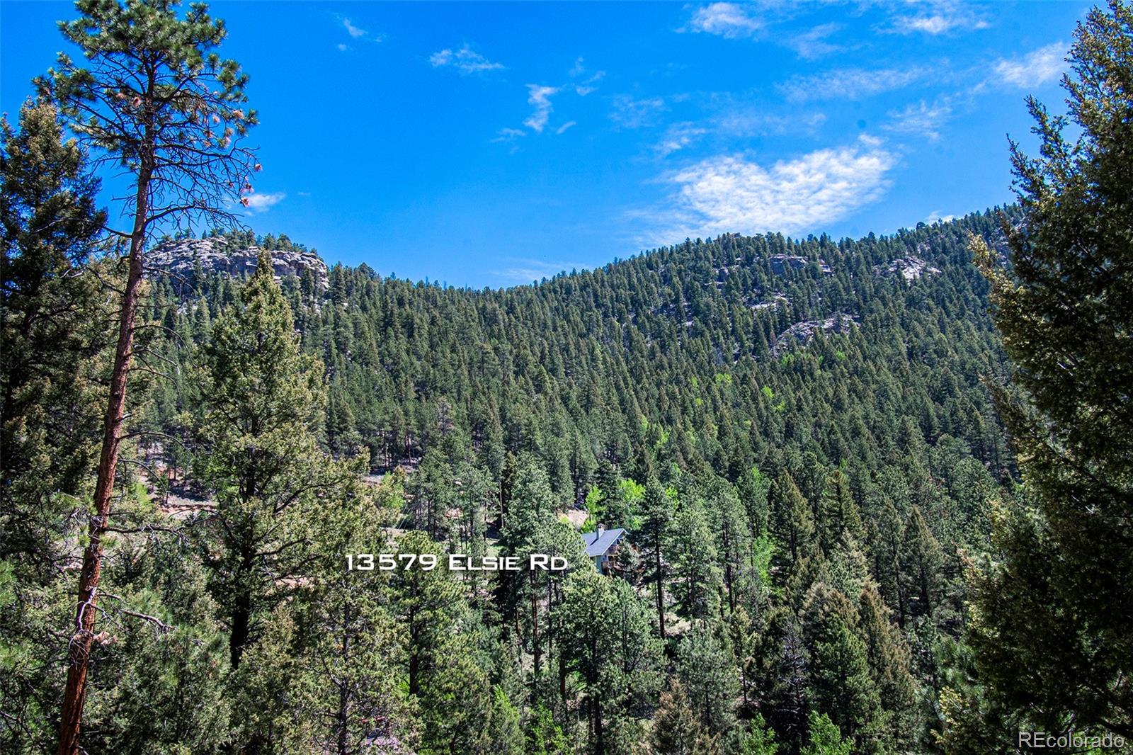 13579 Elsie Road Conifer, CO 80433 - Photo 11 of 38 Gallery Image 11