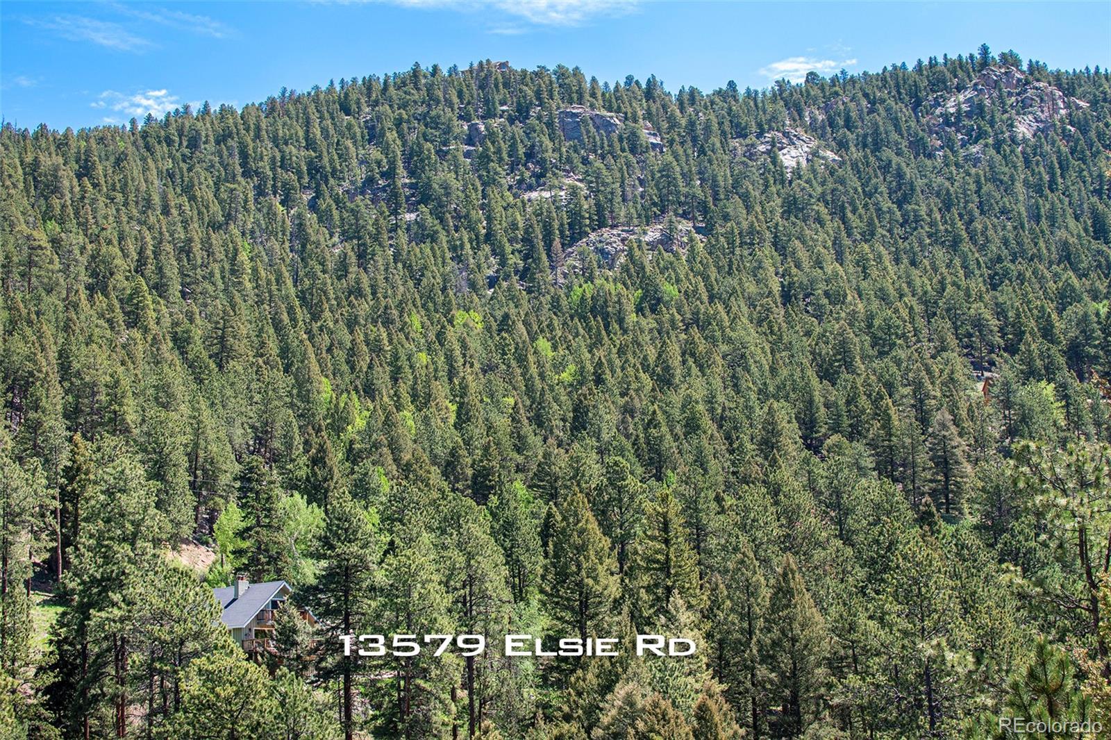 13579 Elsie Road Conifer, CO 80433 - Photo 12 of 38 Gallery Image 12