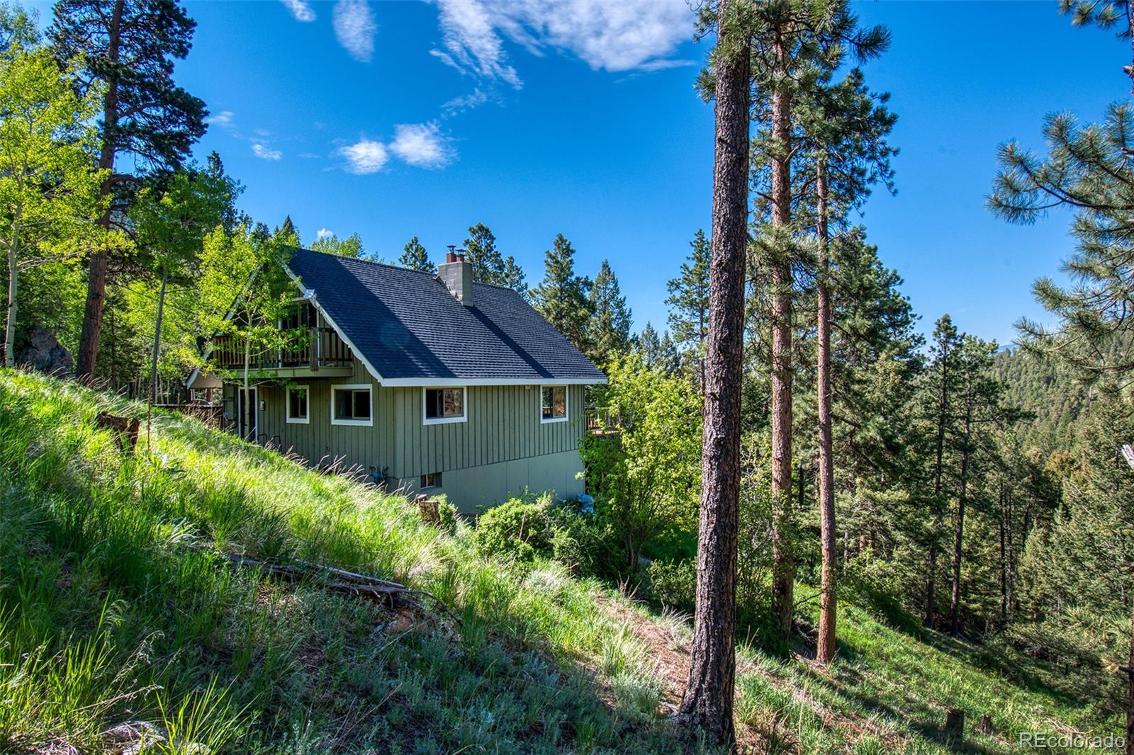 13579 Elsie Road Conifer, CO 80433 - Photo 15 of 38 Gallery Image 15