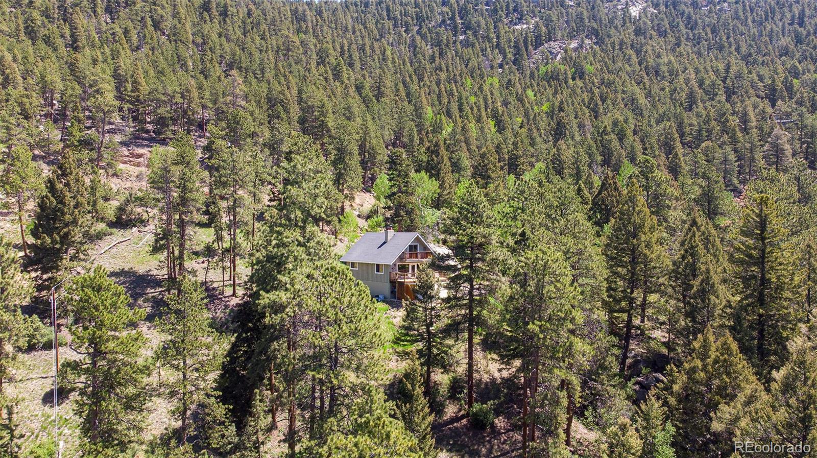 13579 Elsie Road Conifer, CO 80433 - Photo 3 of 38 Gallery Image 3