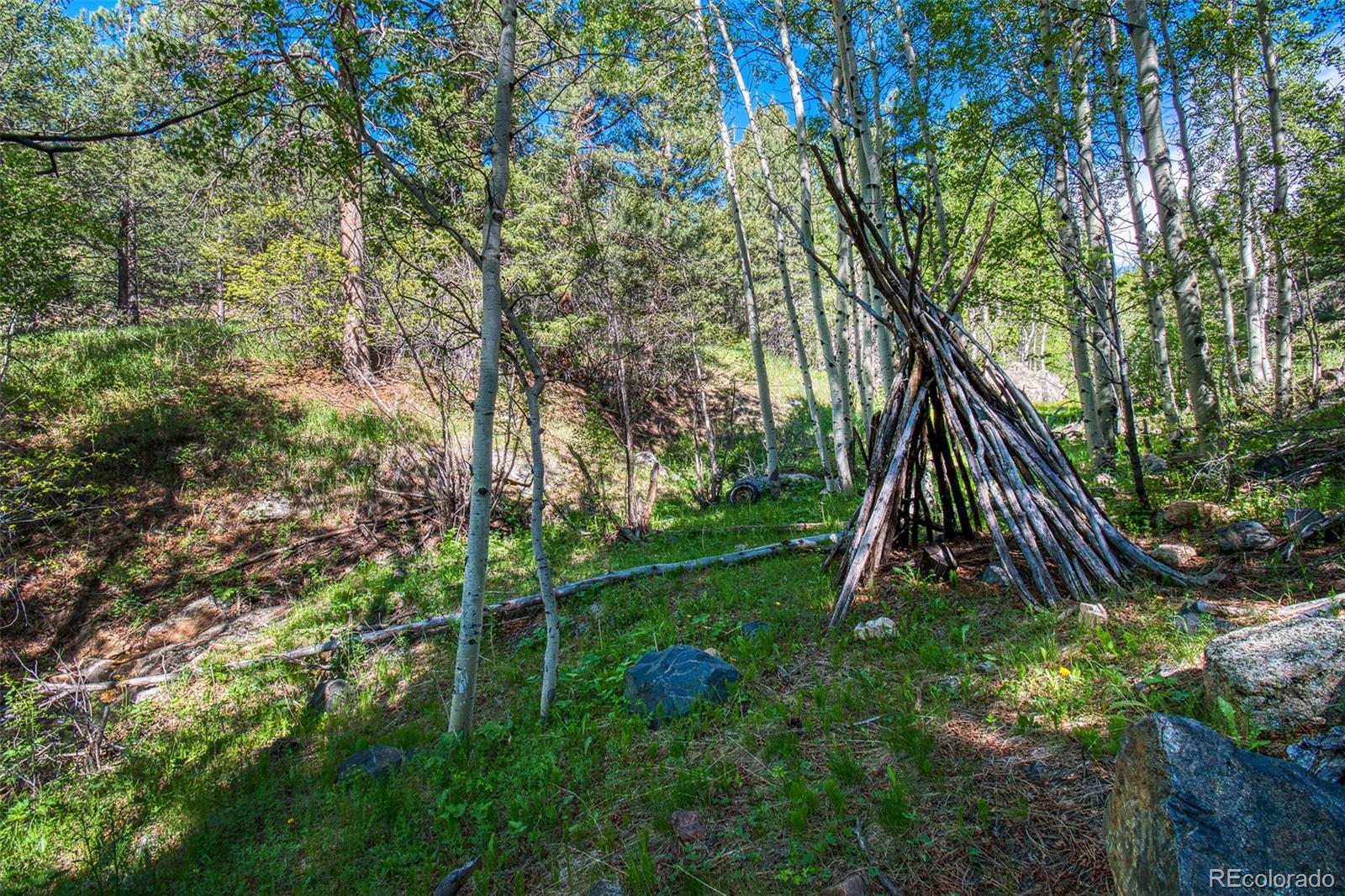 13579 Elsie Road Conifer, CO 80433 - Photo 36 of 38 Gallery Image 36
