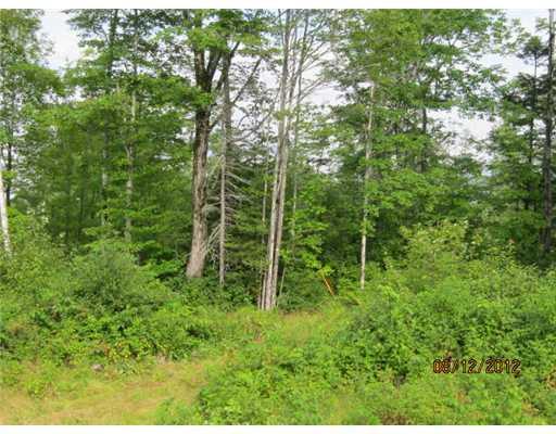 0 Old Bray Hill Road Phillips, ME 04966 - Photo 6 of 12 Land/Lot.